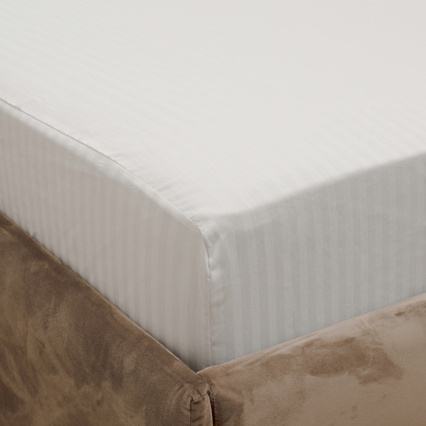 Satino paklodė su guma „STRIPE OF WHITE“ 100% medvilnė (satinas)